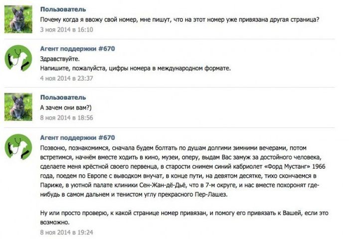 Порция картинок