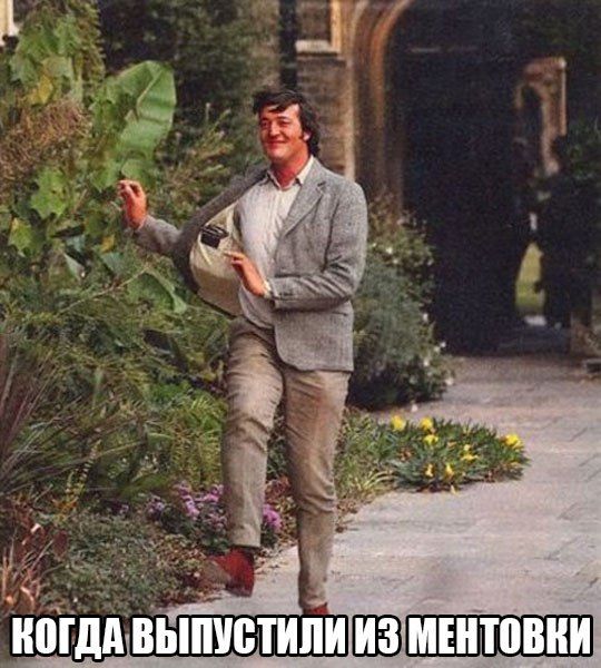 Порция картинок