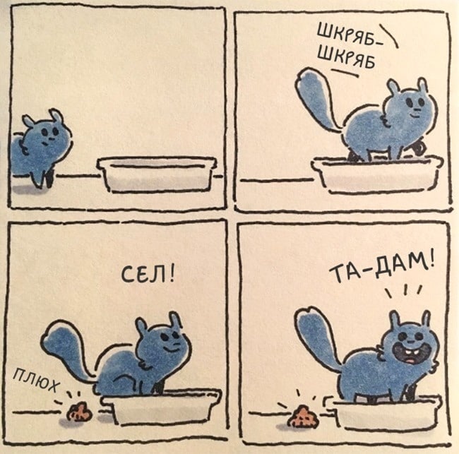 Смешные и правдивые комиксы о жизни с котом