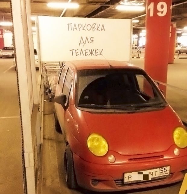 Прикольные картинки