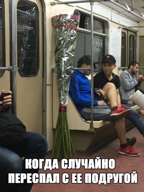 Прикольные картинки