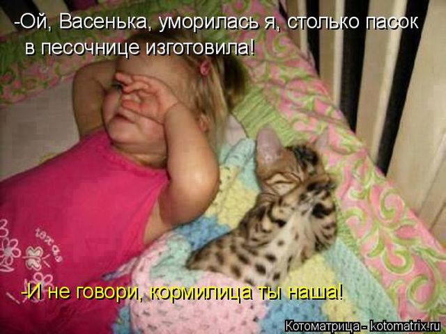 Лучшие котоматрицы недели