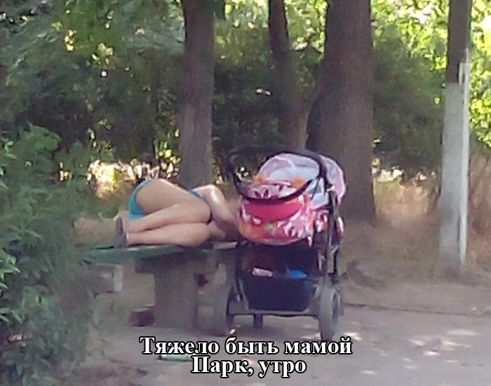 Порция картинок