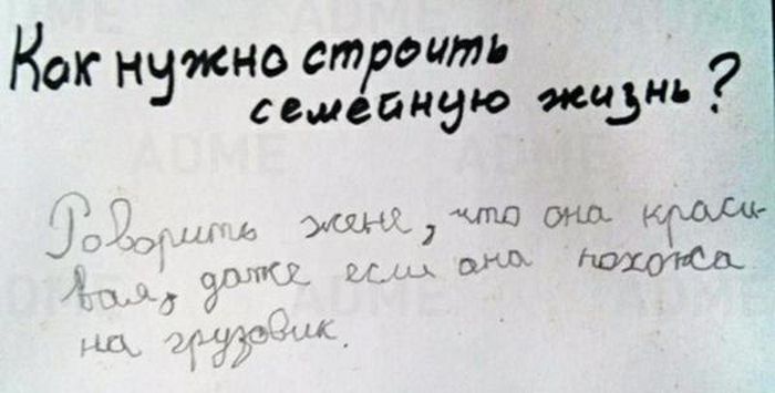 Порция картинок
