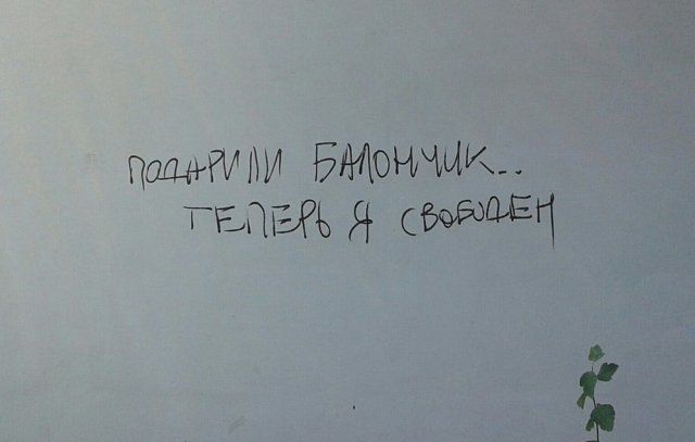 Философские высказывания с улиц наших городов