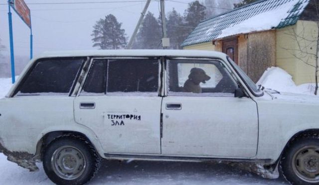 Философские высказывания с улиц наших городов