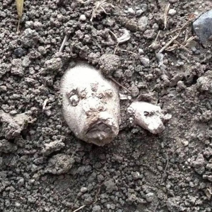 Обман зрения и оптические иллюзии