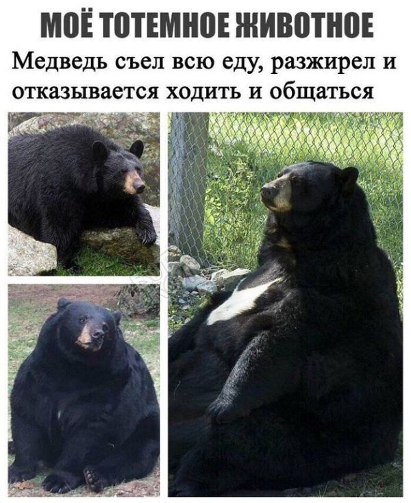 Прикольные картинки
