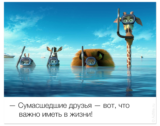 Улыбаемся и машем (32 фото)