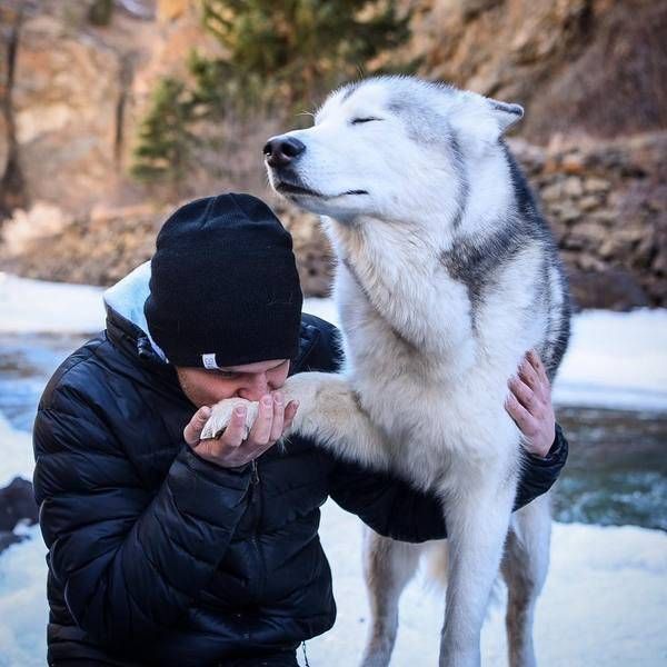 Прикольные картинки