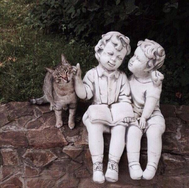 Прикольные картинки