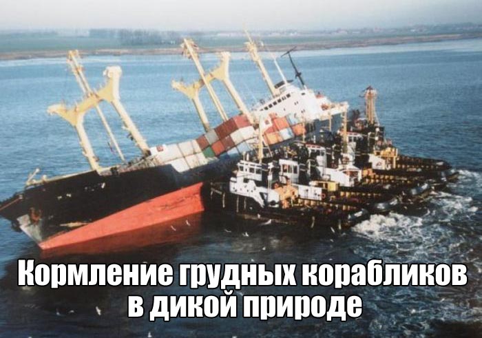 Прикольные картинки