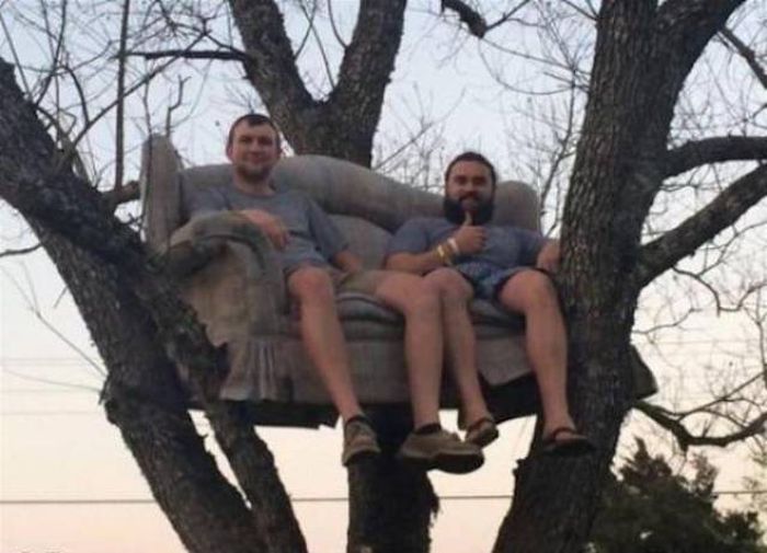 Прикольные картинки