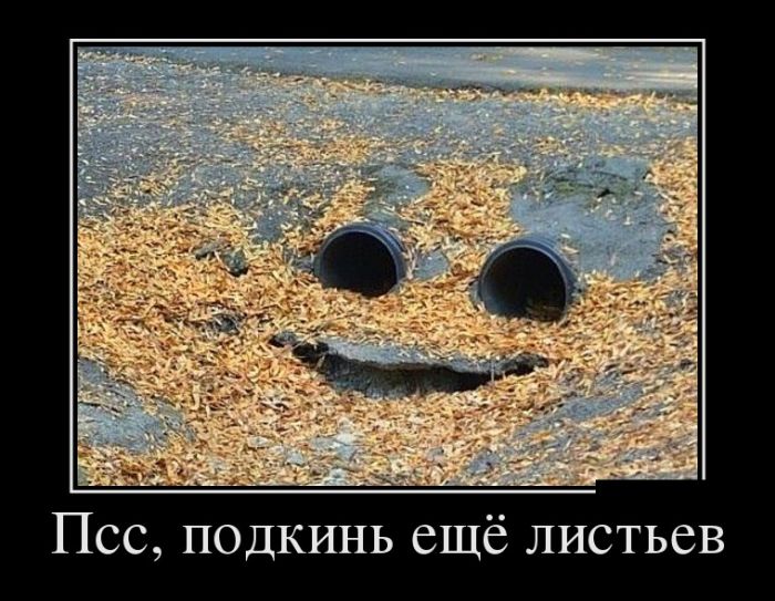 Демотиваторы