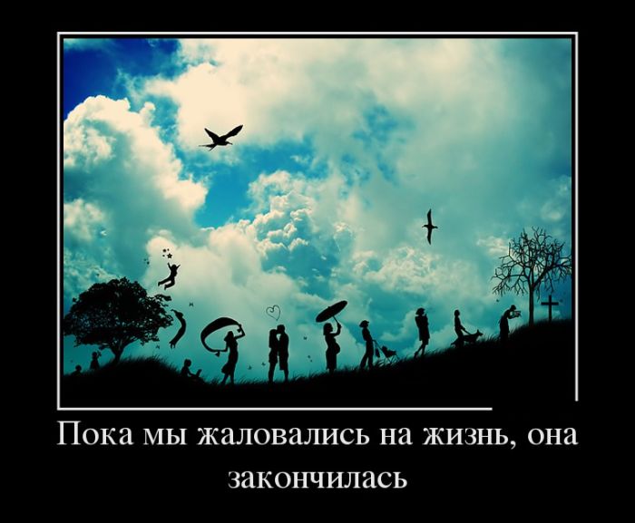Демотиваторы