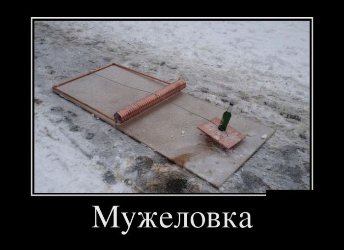 Демотиваторы