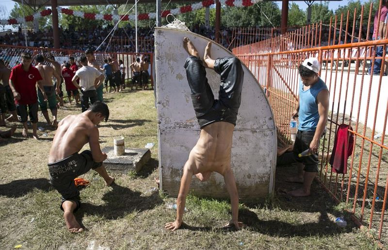 Облитые маслом турецкие мужики лезут друг другу в штаны
