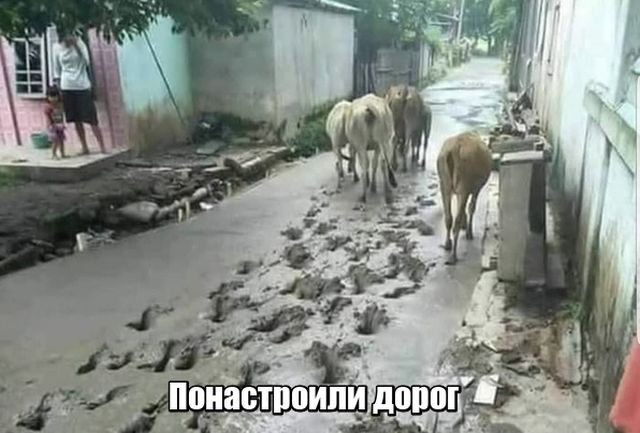 Прикольные картинки