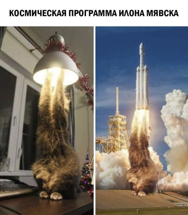 Прикольные картинки