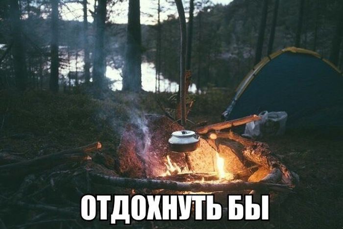 Порция картинок