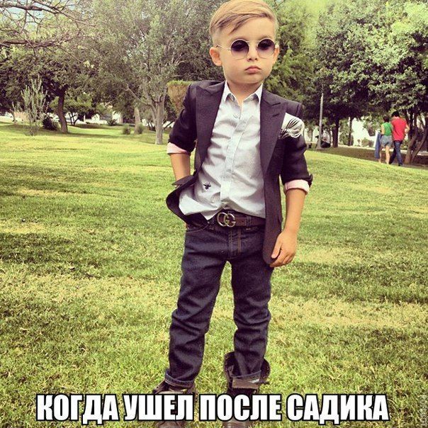 Порция картинок