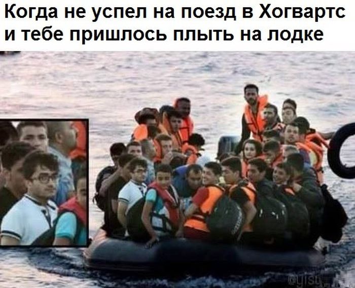 Порция картинок