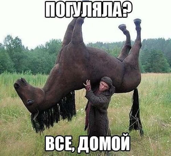 Порция картинок