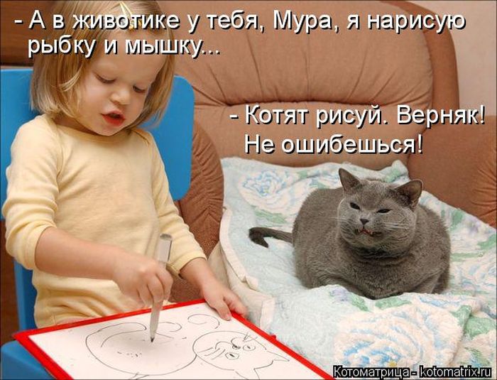 Лучшие котоматрицы недели