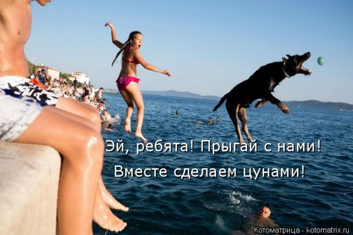 Лучшие котоматрицы недели