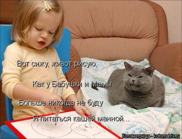 Лучшие котоматрицы недели