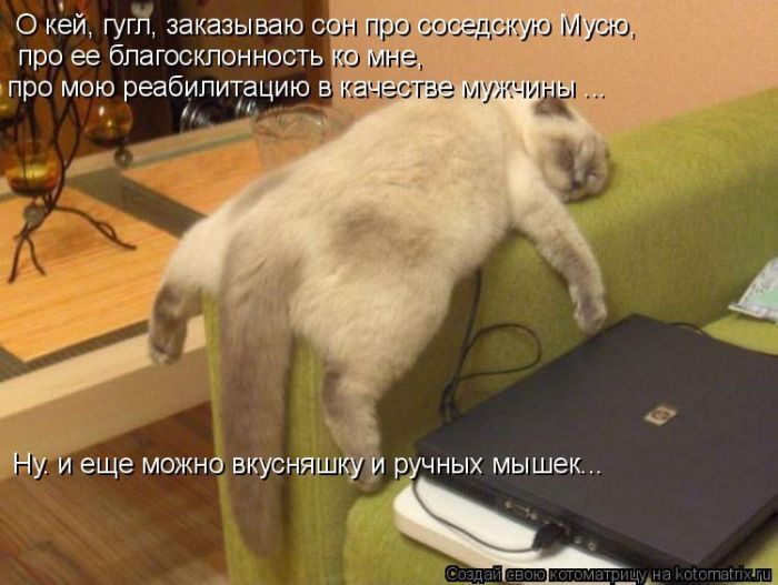 Лучшие котоматрицы недели