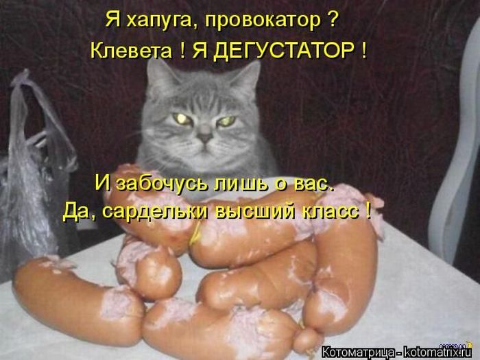 Лучшие котоматрицы недели