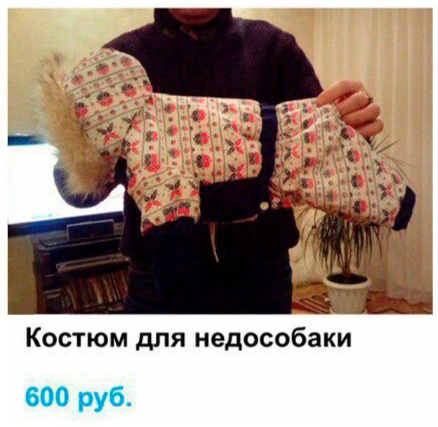 Креативное объявление о продаже комбинезона для собаки