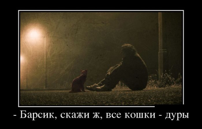 Демотиваторы