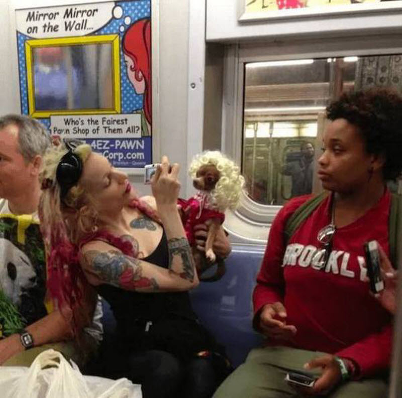 WTF: что тут происходит?