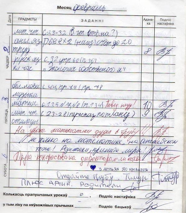 Замечания в дневниках