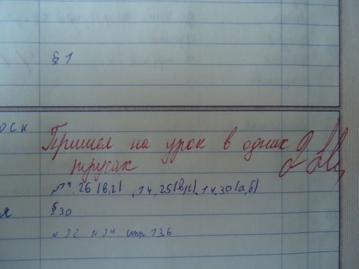 Замечания в дневниках
