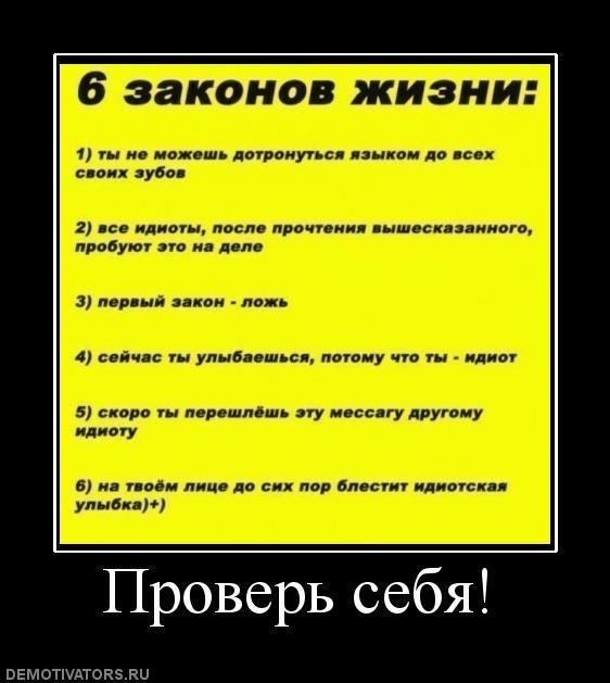 Демотиваторы (67 фото)