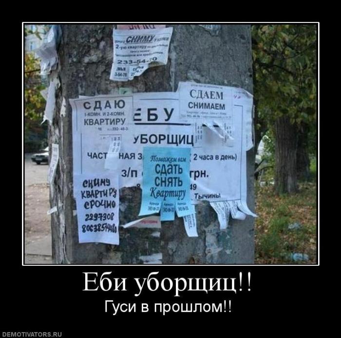 Демотиваторы (67 фото)