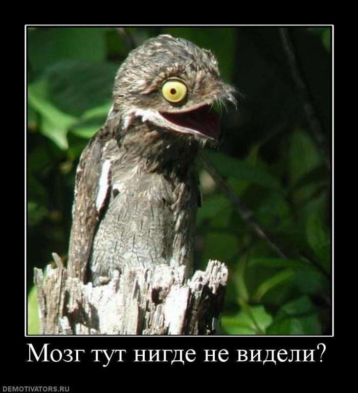 Демотиваторы (67 фото)