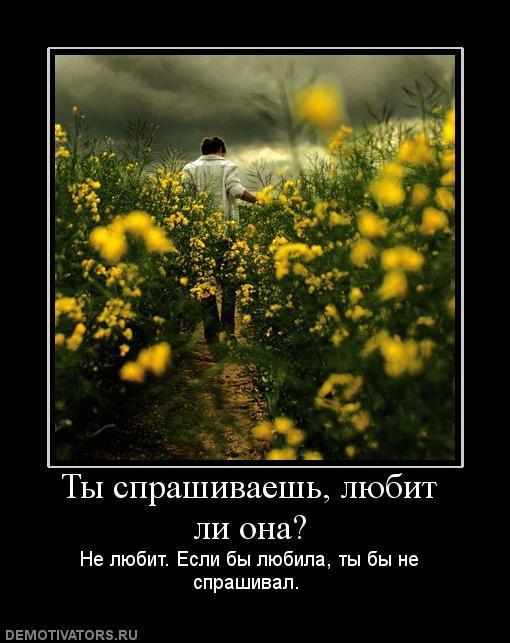 Демотиваторы (67 фото)