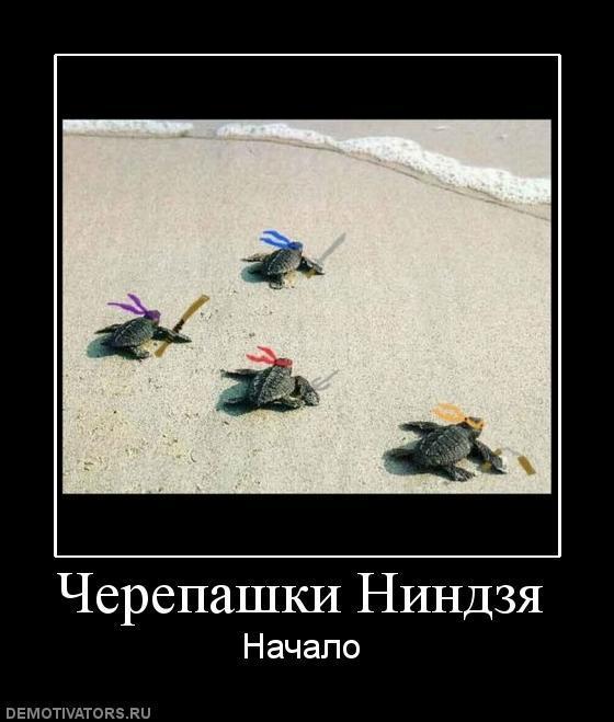 Демотиваторы (67 фото)