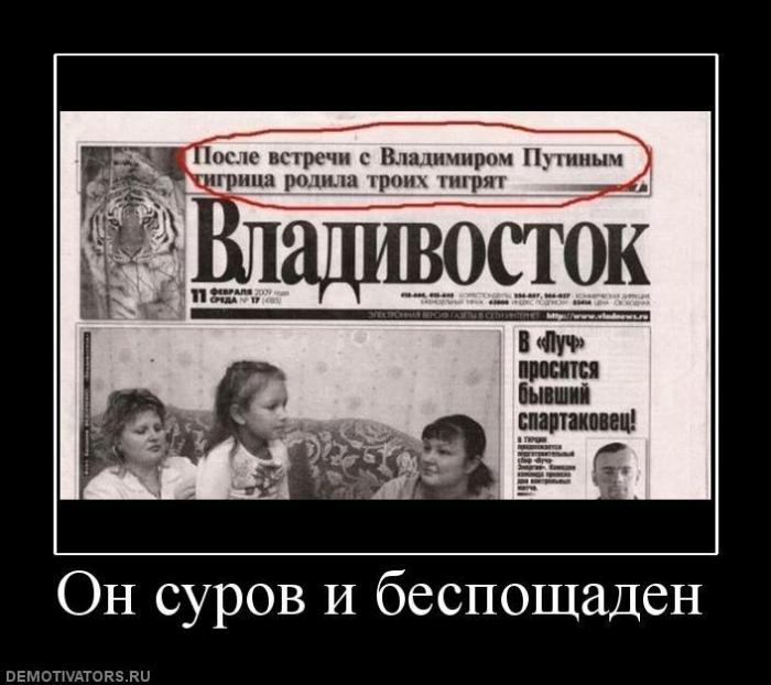 Демотиваторы (67 фото)