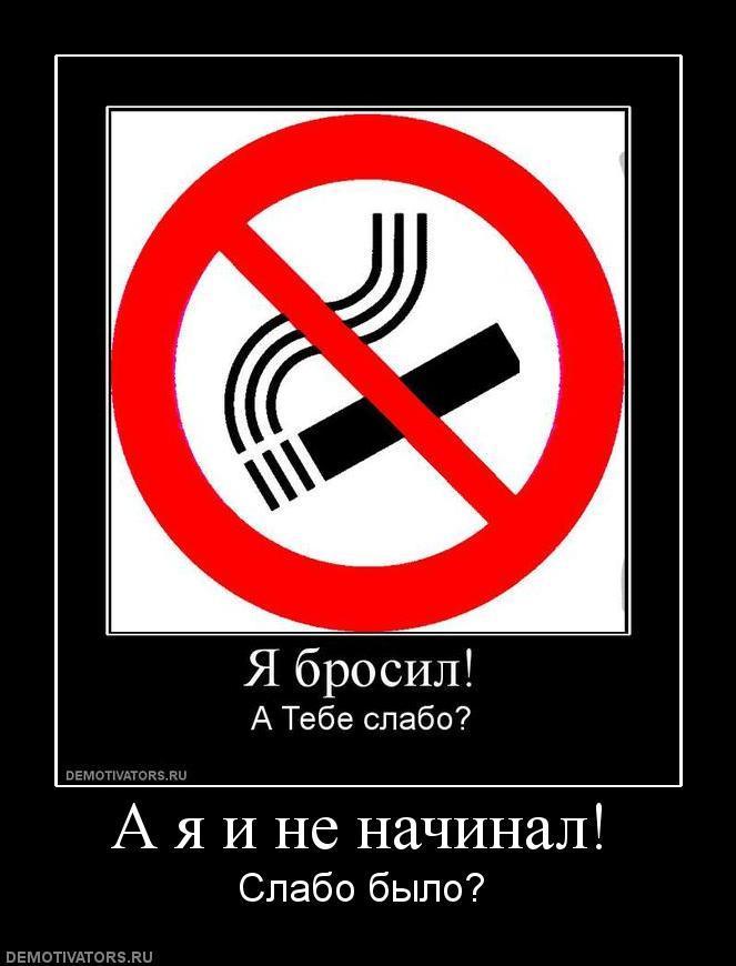 Демотиваторы (67 фото)