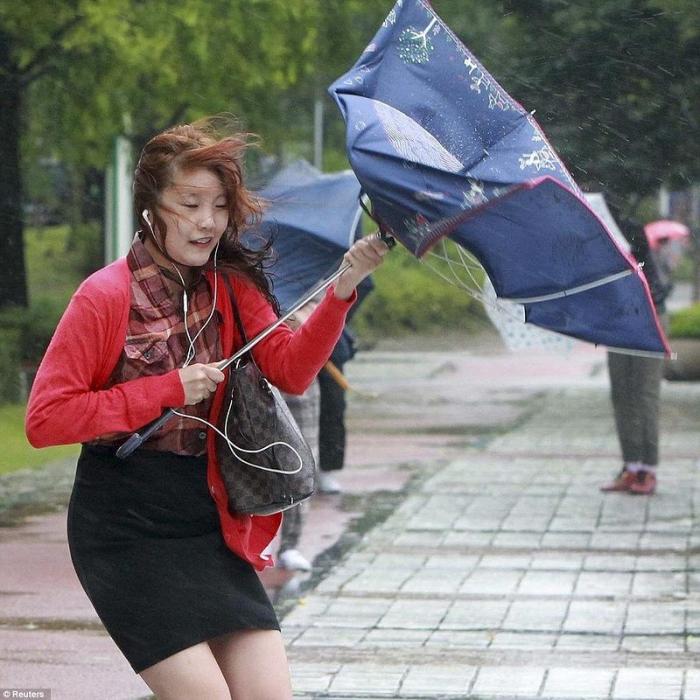 Санба обрушился на Республику Корея (16 фото)