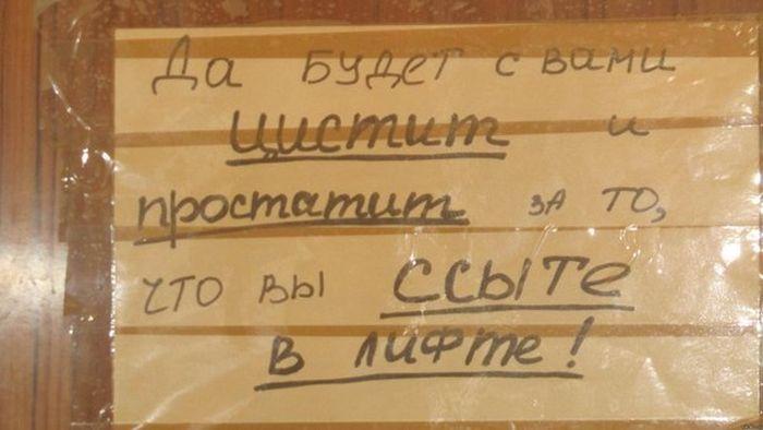 Прикольные картинки (32 фото)