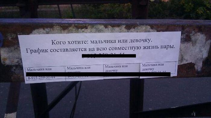 Прикольные картинки (32 фото)