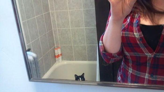 Прикольные картинки (32 фото)