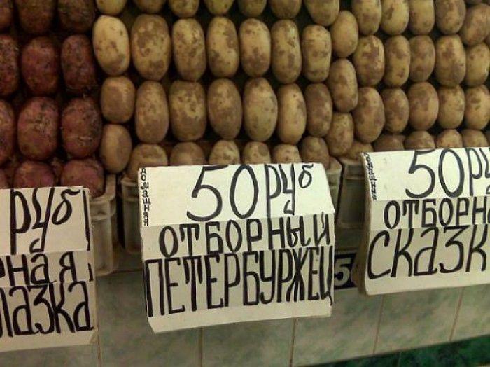 Прикольные картинки (32 фото)