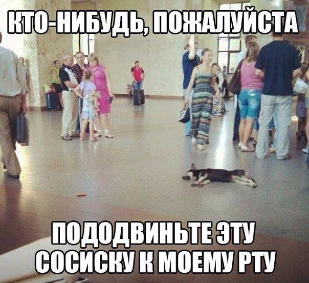 Вот так выглядит лень